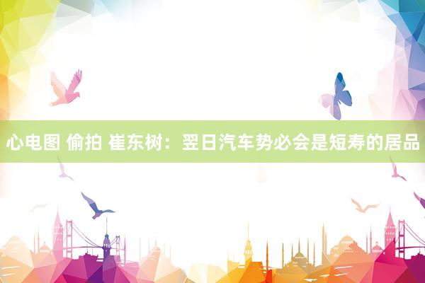 心电图 偷拍 崔东树：翌日汽车势必会是短寿的居品