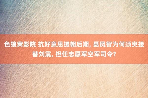 色狼窝影院 抗好意思援朝后期， 聂凤智为何须臾接替刘震， 担任志愿军空军司令?