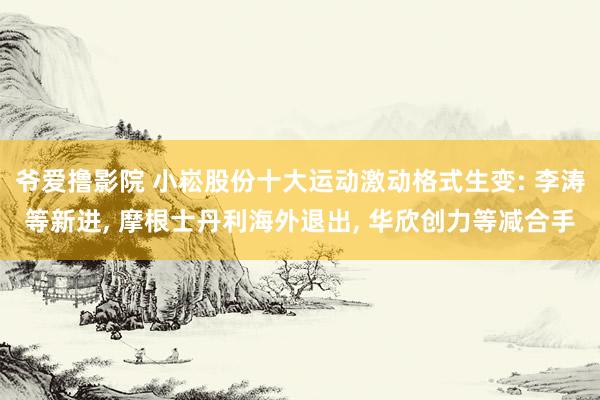 爷爱撸影院 小崧股份十大运动激动格式生变: 李涛等新进， 摩根士丹利海外退出， 华欣创力等减合手
