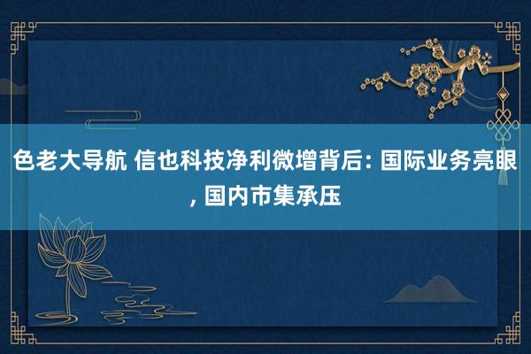 色老大导航 信也科技净利微增背后: 国际业务亮眼， 国内市集承压