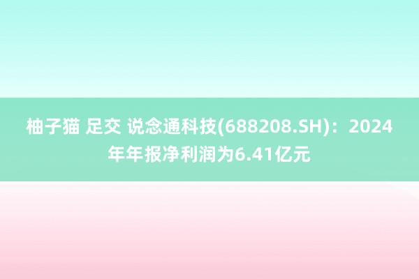 柚子猫 足交 说念通科技(688208.SH)：2024年年报净利润为6.41亿元