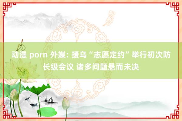 动漫 porn 外媒: 援乌“志愿定约”举行初次防长级会议 诸多问题悬而未决
