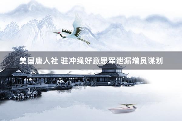 美国唐人社 驻冲绳好意思军泄漏增员谋划