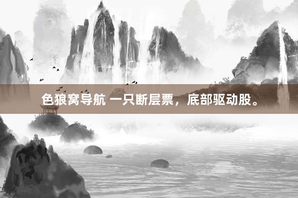 色狼窝导航 一只断层票，底部驱动股。