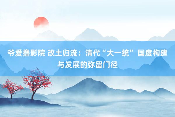 爷爱撸影院 改土归流：清代“大一统” 国度构建与发展的弥留门径